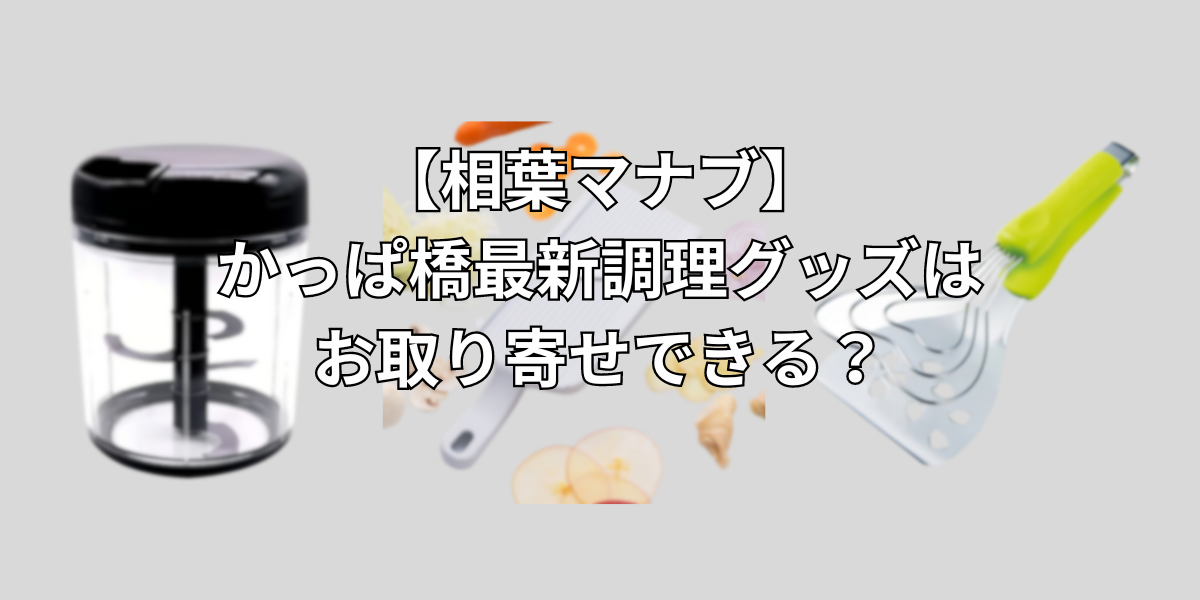 【相葉マナブ】かっぱ橋最新調理グッズはお取り寄せできる？