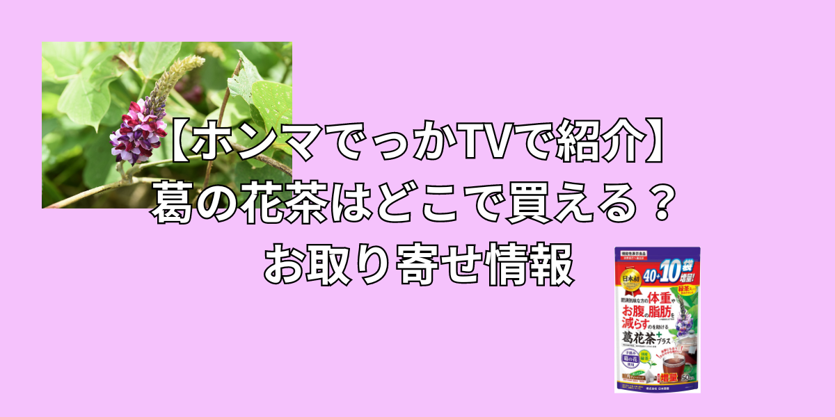 【ホンマでっかTVで紹介】葛の花茶はどこで買える？お取り寄せ情報