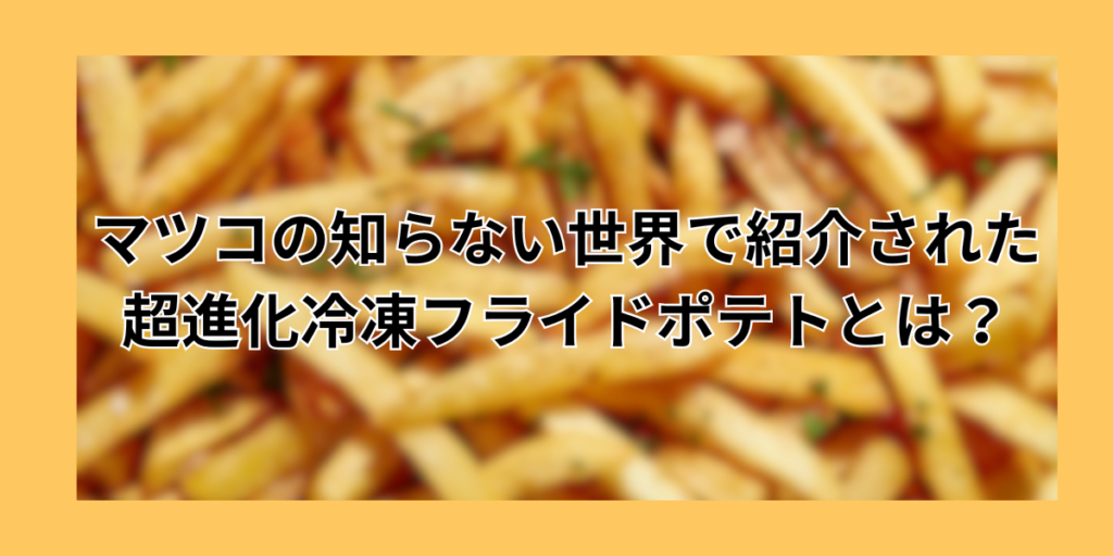 マツコの知らない世界で紹介された超進化冷凍フライドポテトとは？