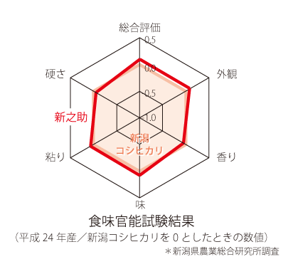 官能試験結果