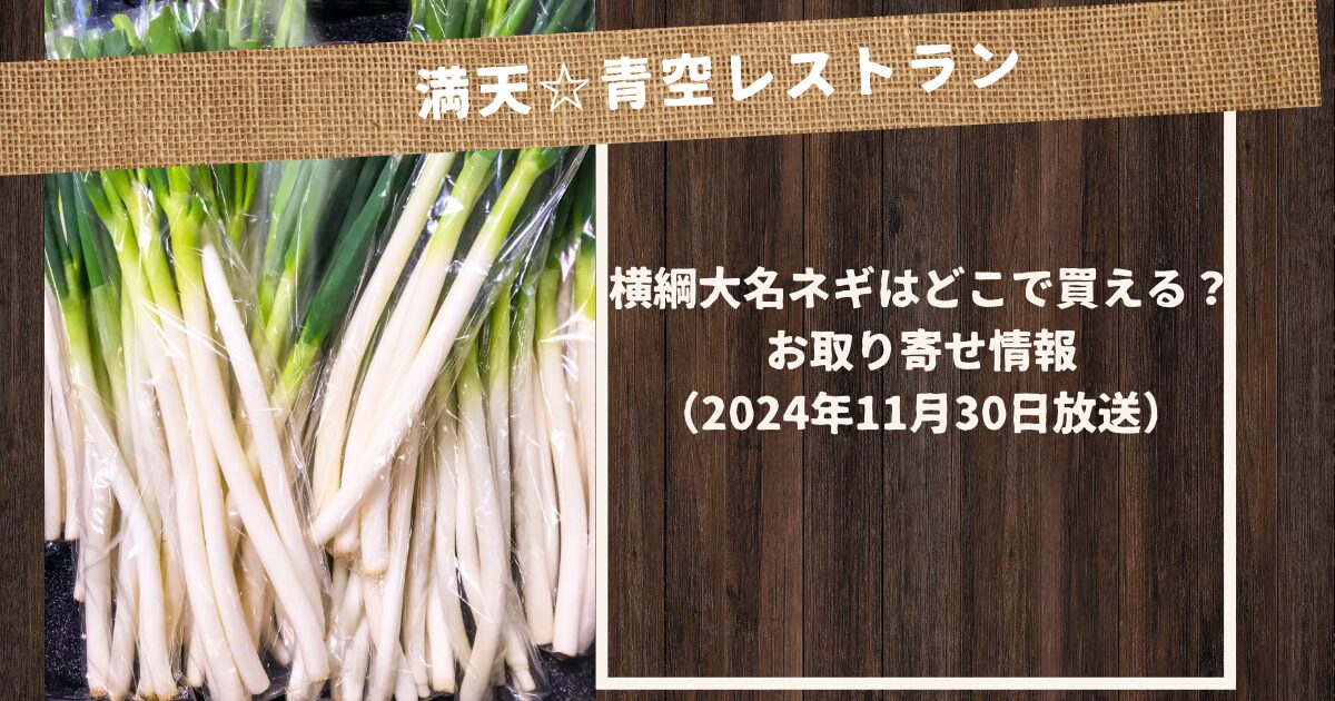 【満天青空レストラン】横綱大名ネギはどこで買える？お取り寄せ情報（2024年11月30日放送）