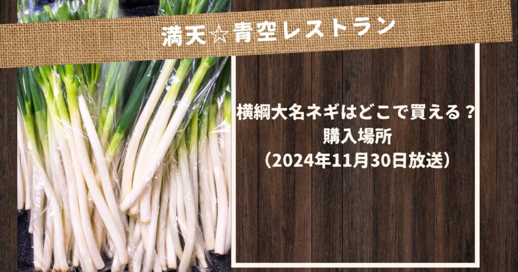 【満天青空レストラン】横綱大名ネギはどこで買える？お取り寄せ情報（2024年11月30日放送）