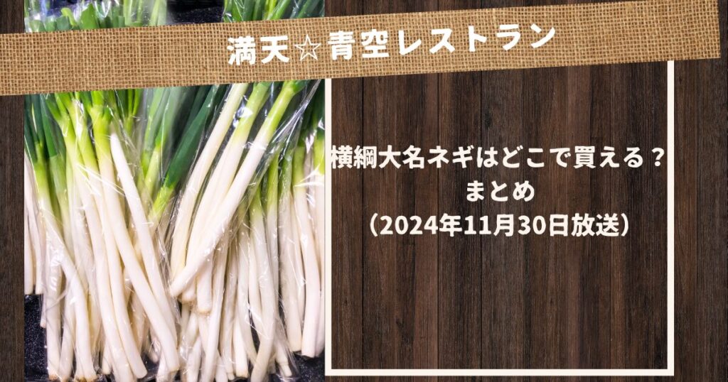 満天青空レストランで紹介された横綱大名ネギ　まとめ