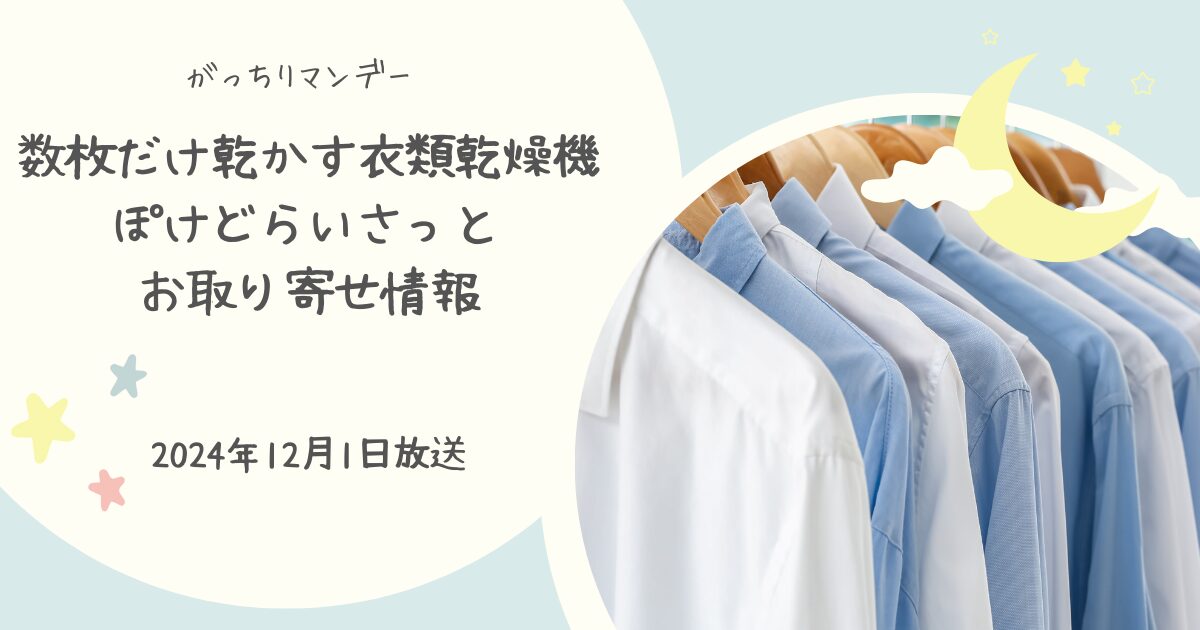 【がっちりマンデー】一芸家電「ぽけどらいさっと」はどこで買える？お取り寄せ情報（2024年12月1日）