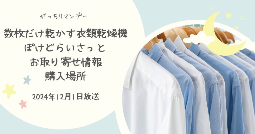 【がっちりマンデー】一芸家電「ぽけどらいさっと」はどこで買える？お取り寄せ情報（2024年12月1日）