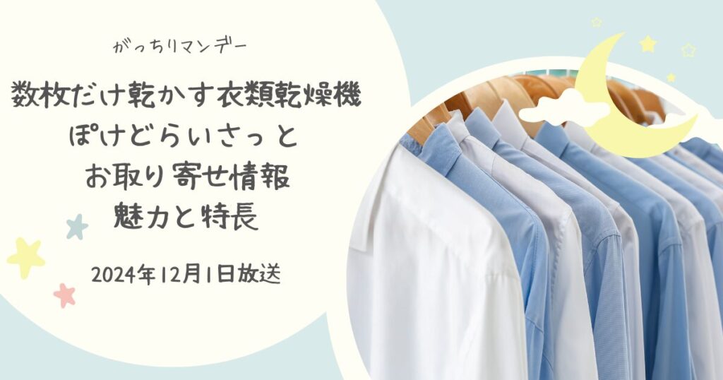 【がっちりマンデー】一芸家電「ぽけどらいさっと」はどこで買える？お取り寄せ情報（2024年12月1日）