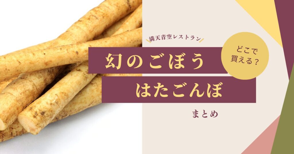 【満天青空レストラン】和歌山の「はたごんぼ」はどこで買える？人気の秘密も解説（2024年12月7日放送）