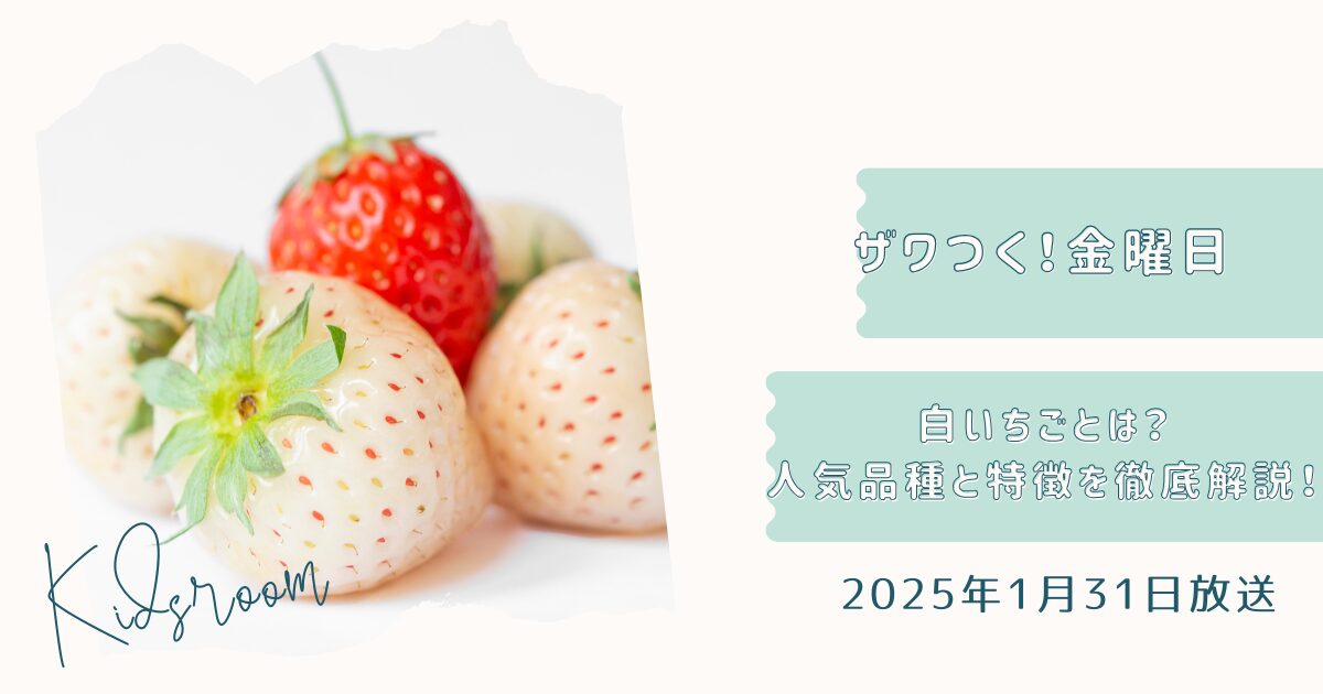 ザワつく！金曜日で話題の白いちごとは？人気品種と特徴を徹底解説！（2025年1月31日放送）