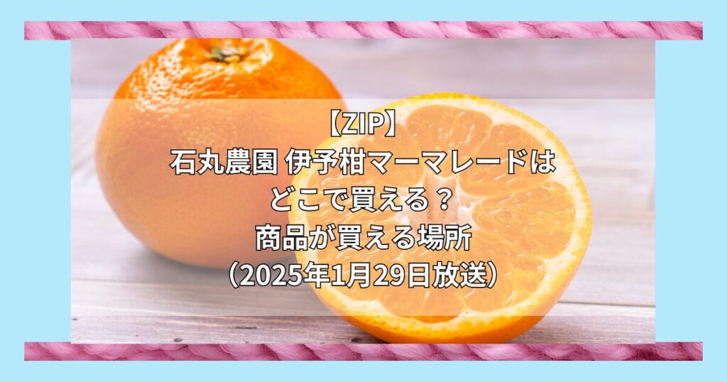 【ZIP】石丸農園 伊予柑マーマレードはどこで買える？お取り寄せ情報（2025年1月31日放送）