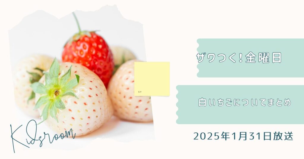 ザワつく！金曜日で話題の白いちごとは？人気品種と特徴を徹底解説！（2025年1月31日放送）