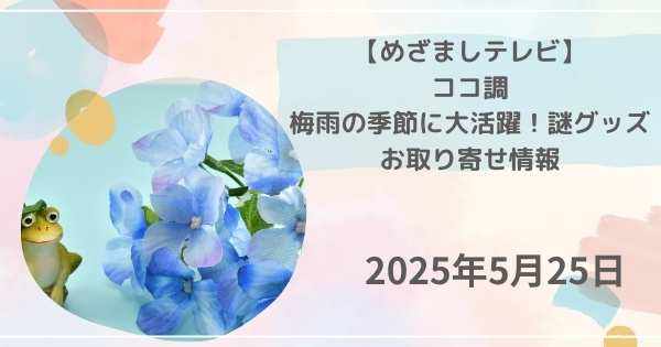 【めざましテレビ】 ココ調 梅雨の季節に大活躍!謎グッズ お取り寄せ情報