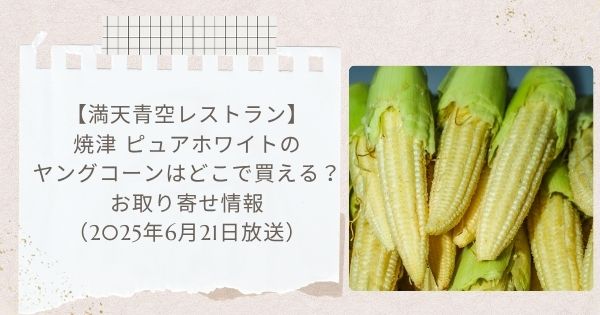【満天青空レストラン】焼津 ピュアホワイトのヤングコーンはどこで買える?お取り寄せ情報(2025年6月21日放送)
